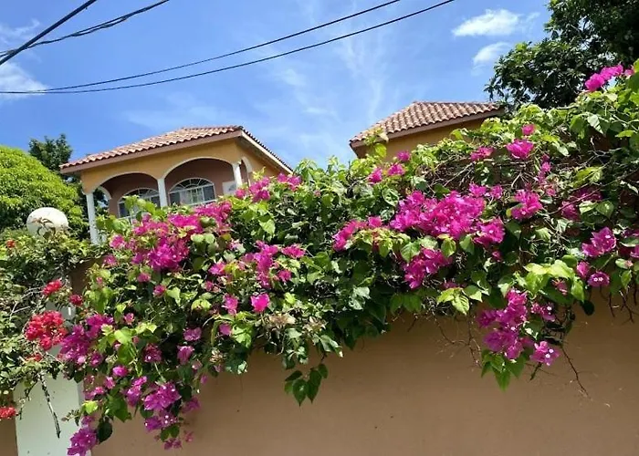 Villa Yanceylargoestate- 3 Bedroom Withmountain Views Montego Bay