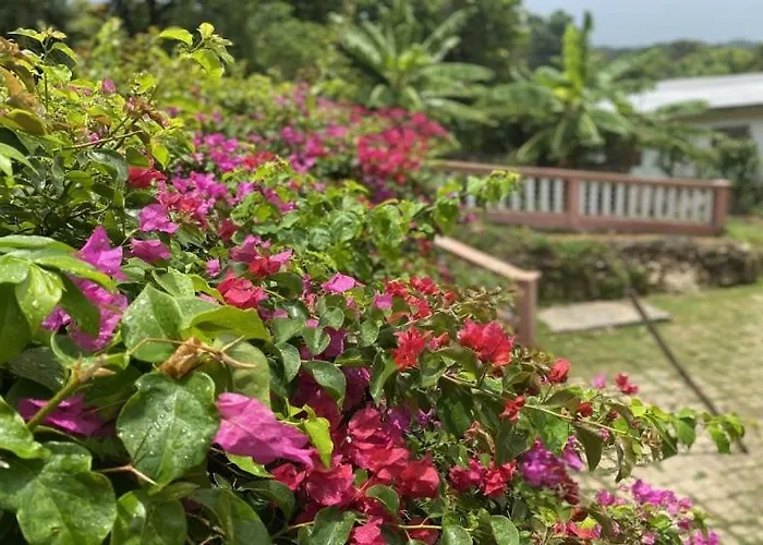 Villa Yanceylargoestate- 3 Bedroom Withmountain Views *